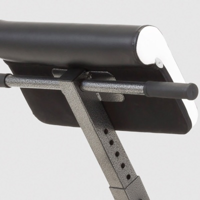 wbx 40 arm curl.jpg